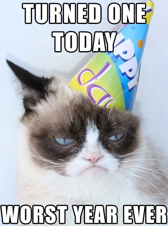 Happy Birthday, Grumpy Cat!!! - The Hollywood Gossip