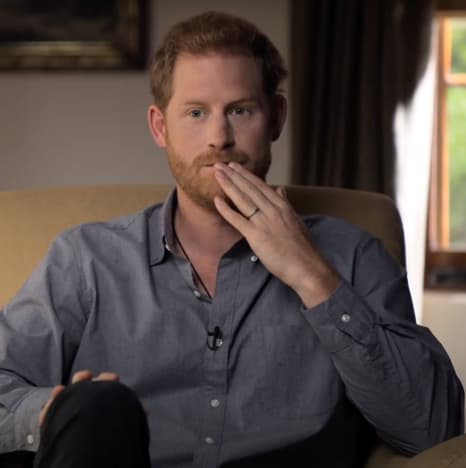 Prince Harry on The Me You Can't See