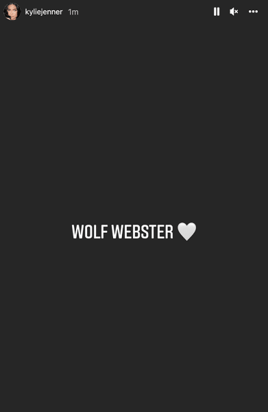 wolf webste