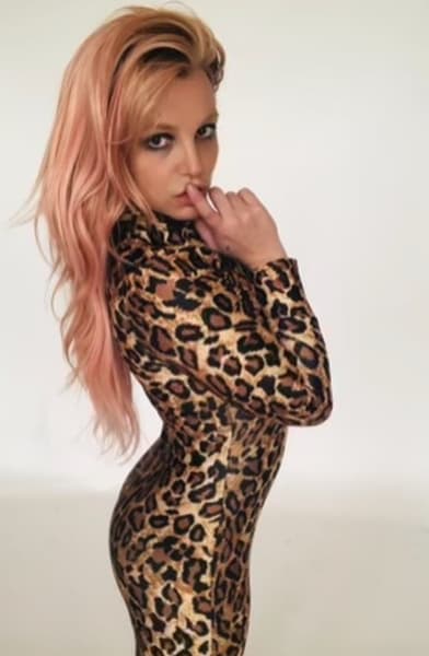 Britney is a cat