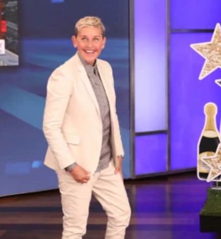 Ellen DeGeneres on Her Series