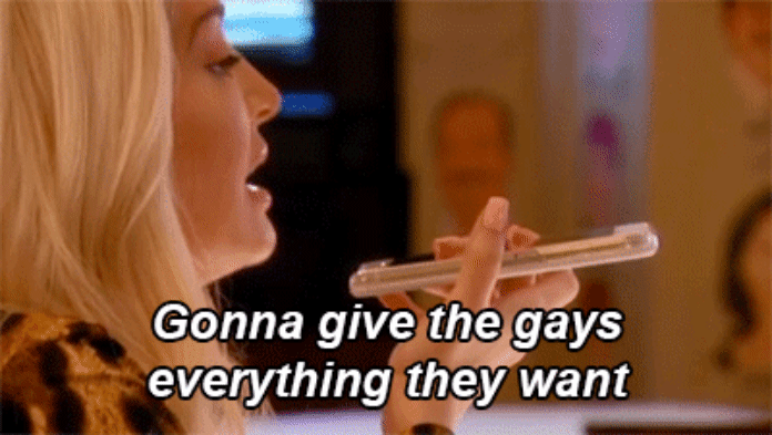 erika-girardi-meme-gonna-give-the-gays-everything-they-want