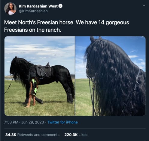 Kim's Horses