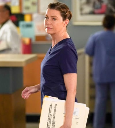 Pompeo as Meredith