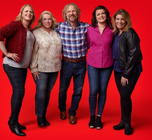 Sister Wives Promo Poster