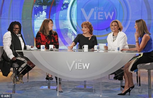 The View Panel