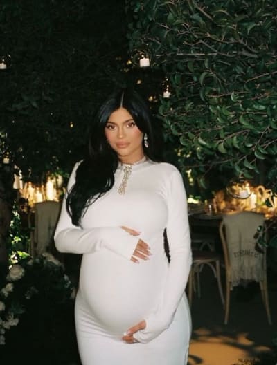 Kylie Jenner: Pregnant on Instagram