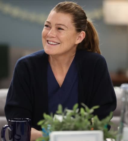 Meredith sonrisas